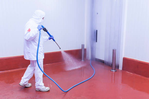 Professional Pressure Washing in Emmett, ID